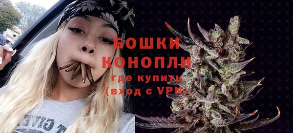 марки lsd Бородино