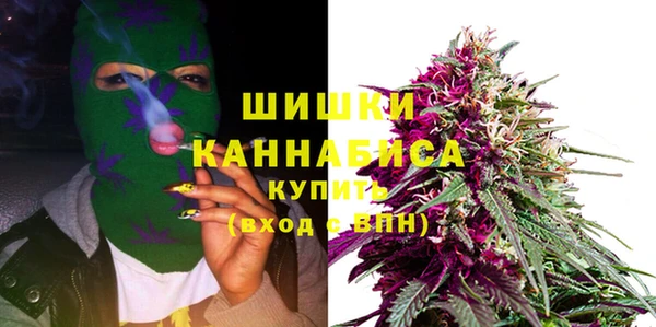 марки lsd Бородино