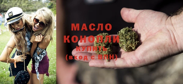 мет Дмитров