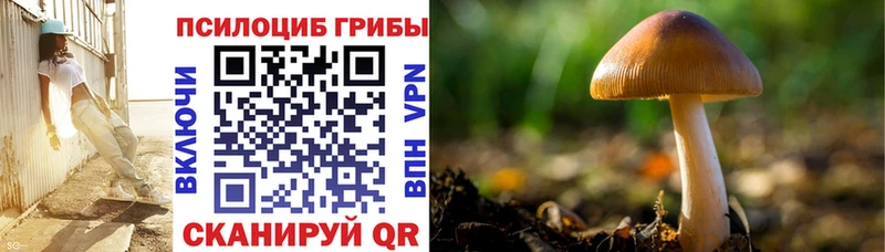 Галлюциногенные грибы ЛСД  где купить наркоту  Миллерово 
